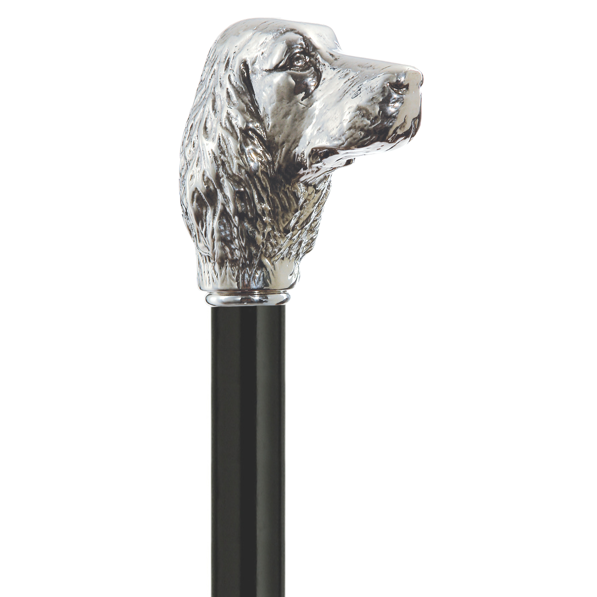 Irish Setter Walking Cane
