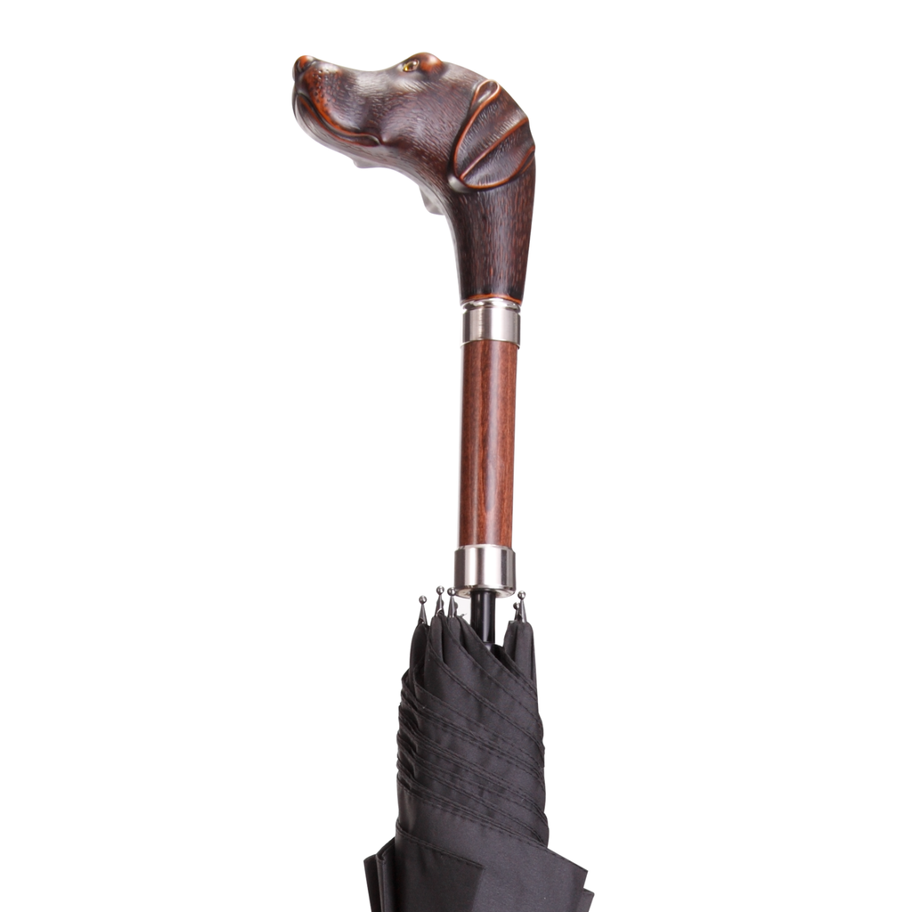 Brownie Umbrella