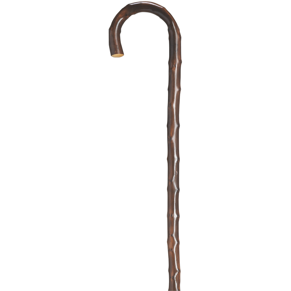 Men's 36 Genuine Congo Chestnut Walking Cane - German Made