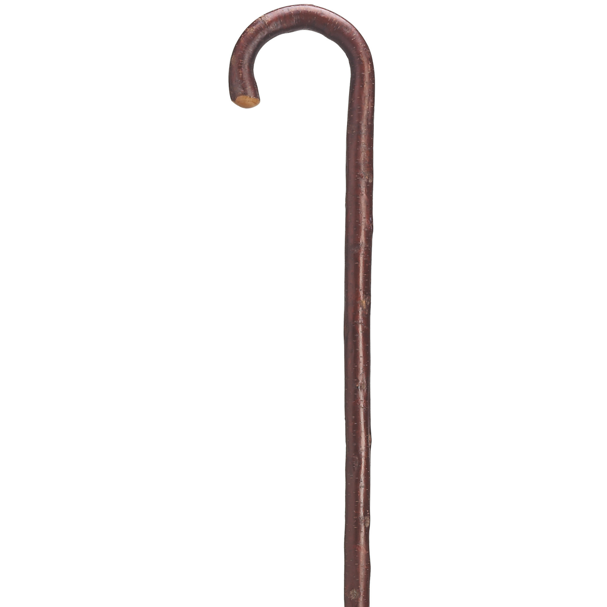 Men's Cherry Wood Tourist Cane