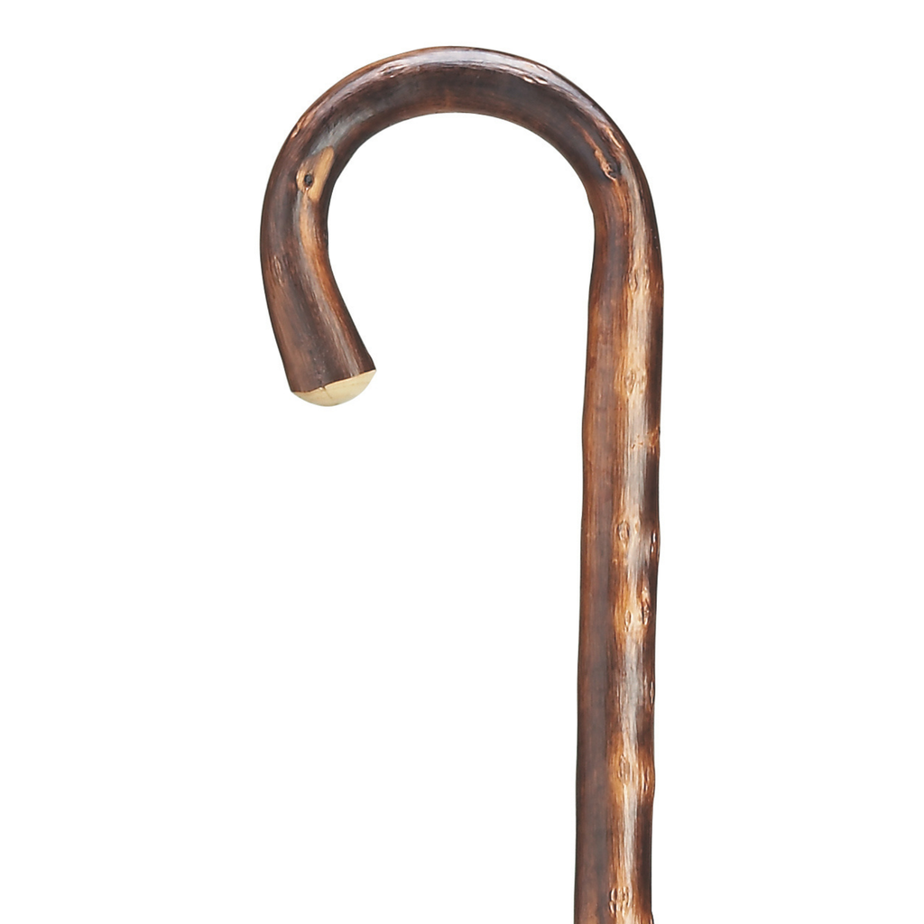 Tourist Chestnut Cane