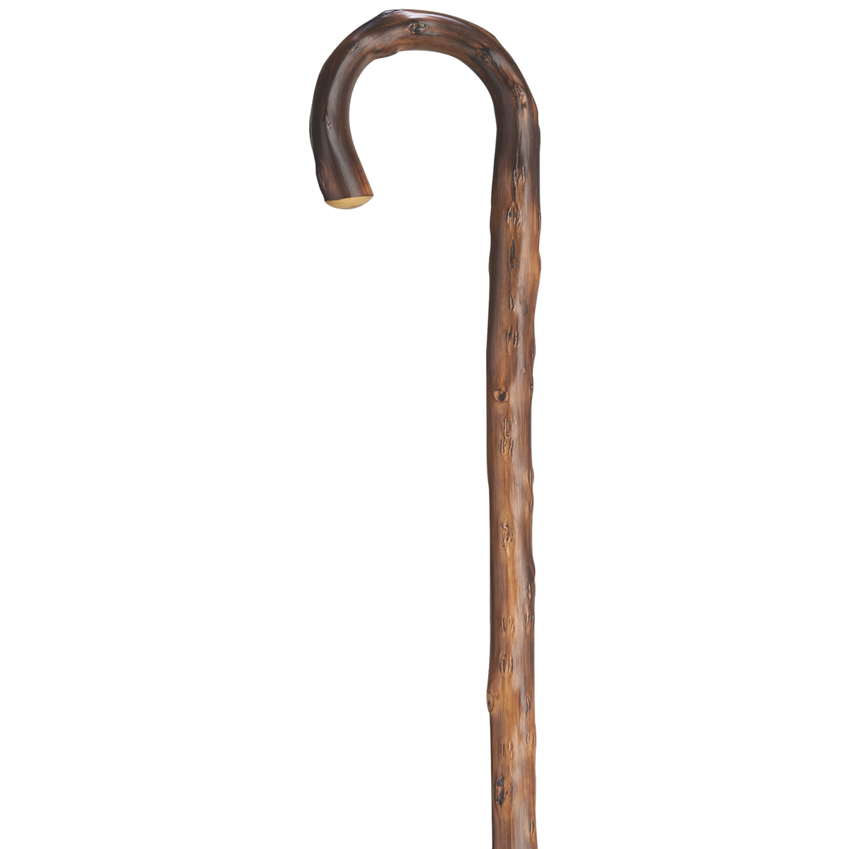 Men's German Congo Cane, Crook Handle, 36, Spike Ferrule