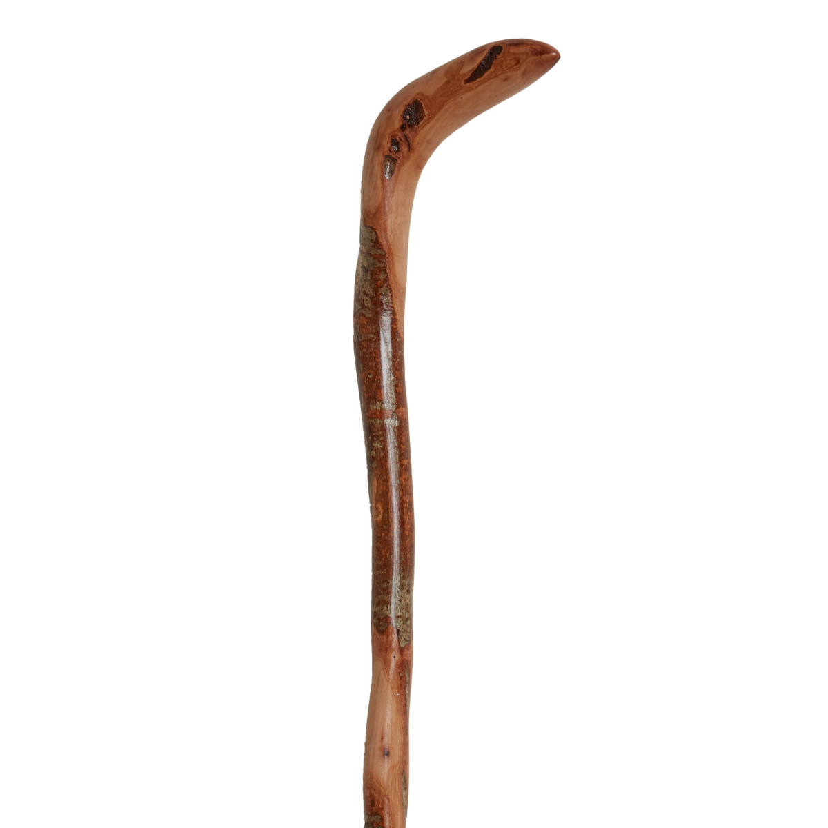 Wild Wood Root Walking Cane, 36-Inch