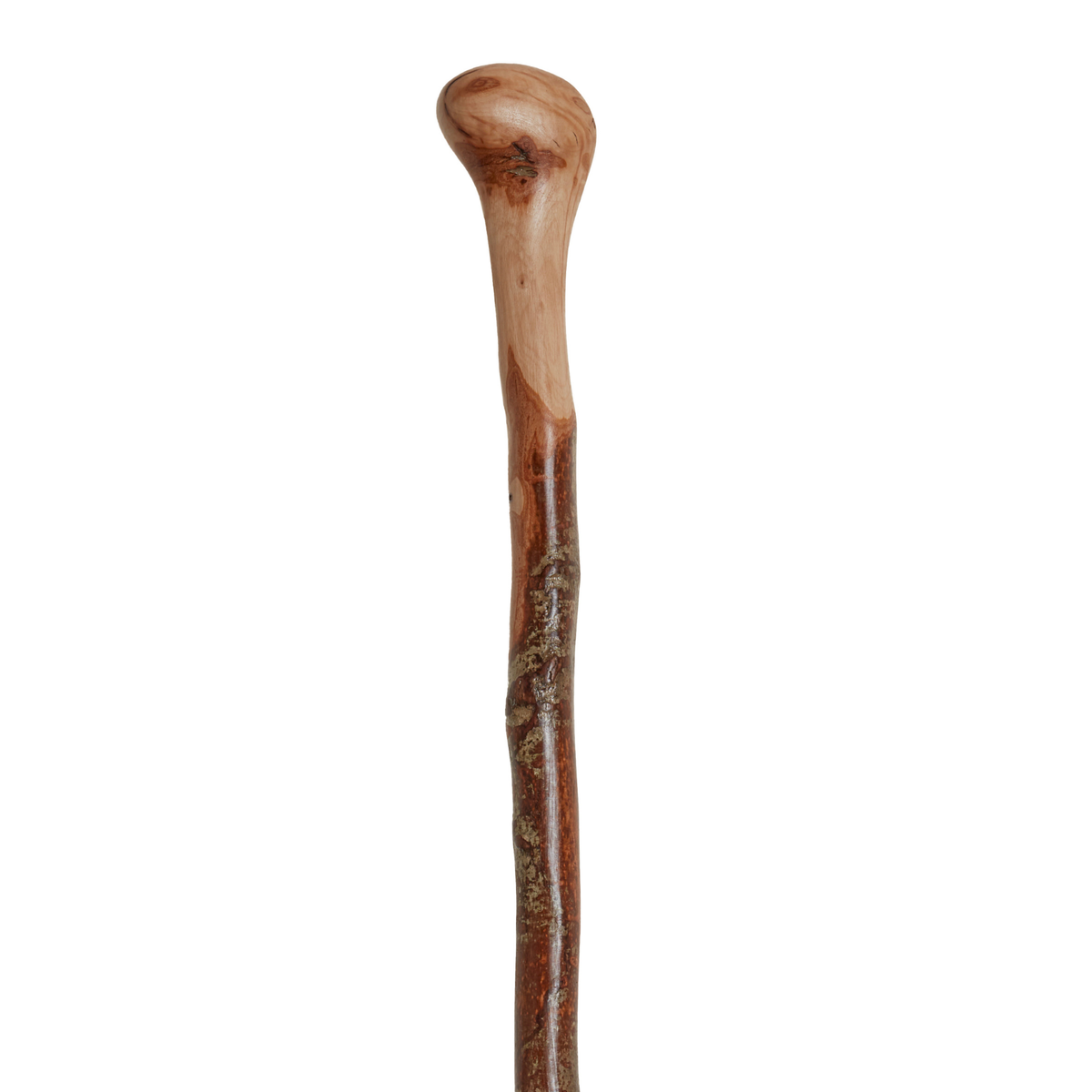 Wild Wood Root Knob Walking Cane, 36-Inch