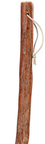 Sassafras Walking Stick 